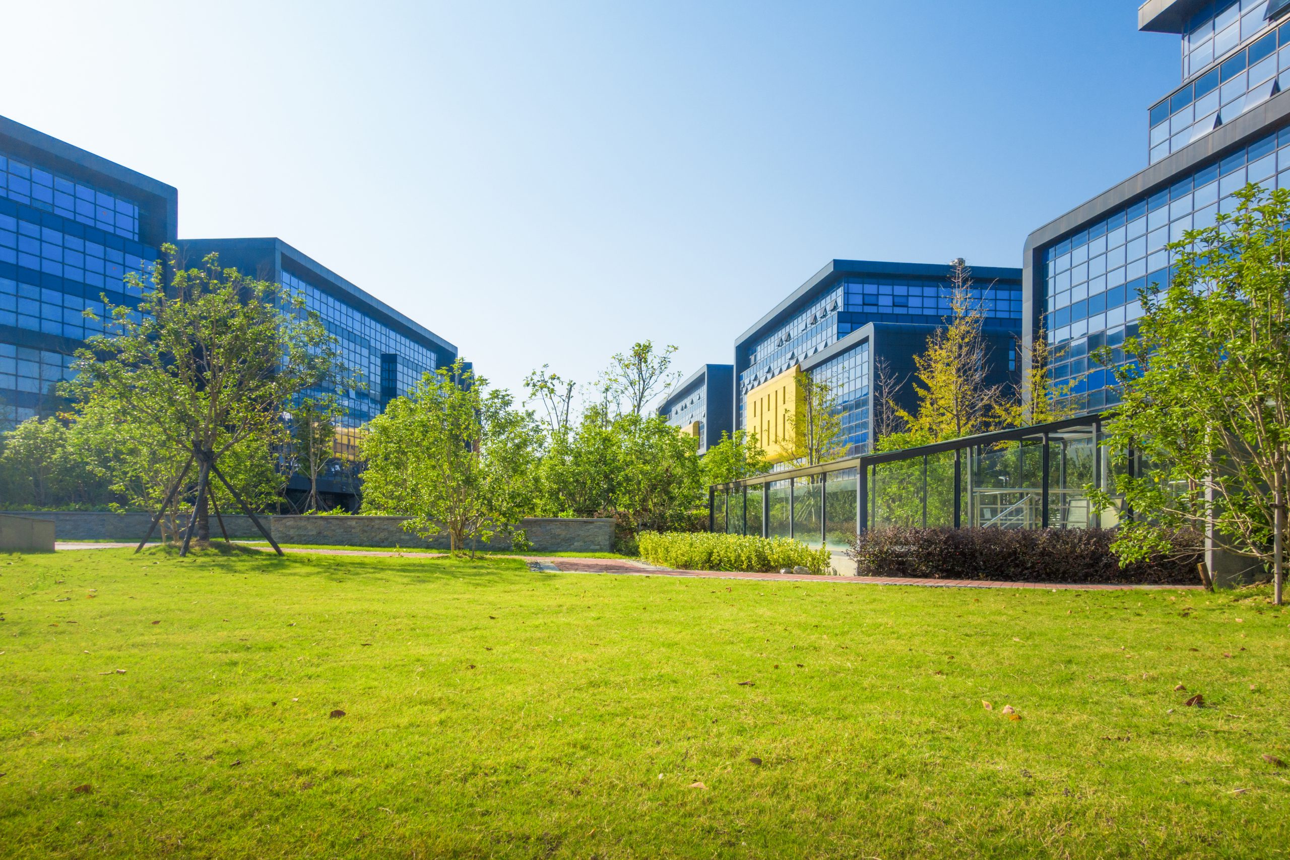 Green space maintenance: all you need to know to maintain your company's  green spaces - Manutan UK Blog