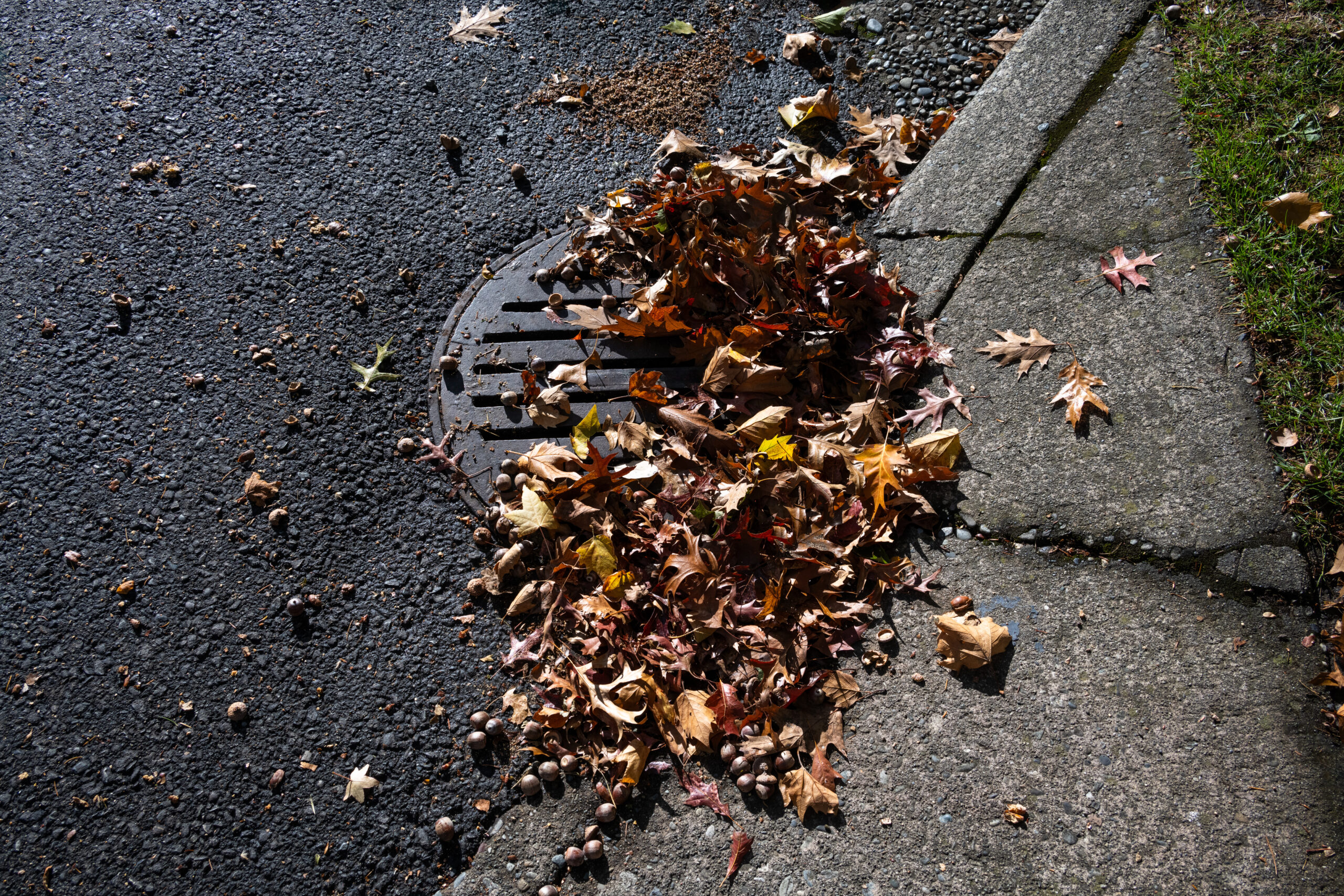 Drainage covered in leaves