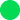 Fluorescent green