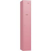 Vintage Retro Metal Storage Lockers - 1800x300x450mm - Cam Locks -PURE