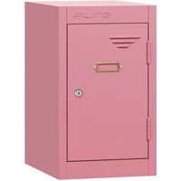 Small Vintage Retro Metal Storage Quarto Lockers - Cam Locks - PURE