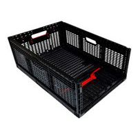 Foldable Crate with Handles