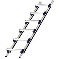 Specific ladder