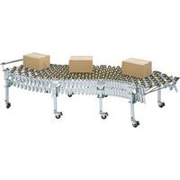 Flexible Outfeed Conveyor Belt Packaging System With Roller Chain