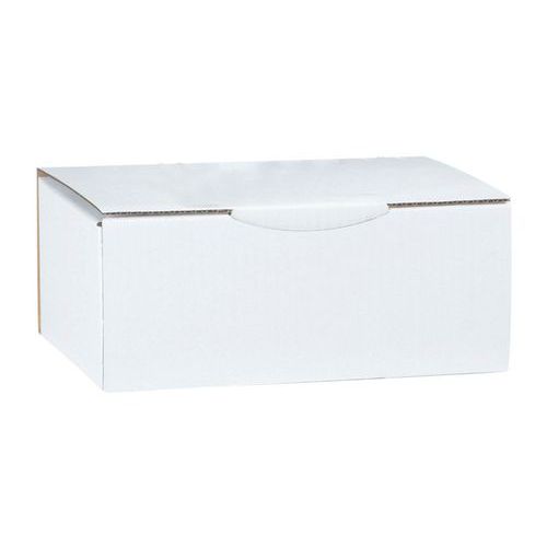 Multi-purpose Kraft cardboard shipping box - With tongue - White Multi-purpose Kraft cardboard shipping box - With tongue - White