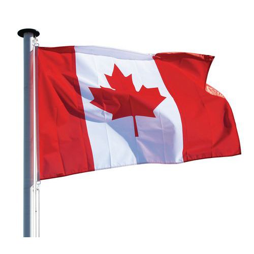Environmentally friendly flag of France and countries of the world 100 x 150 cm - Macap