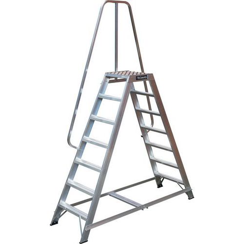 Industrial Double Sided Steps