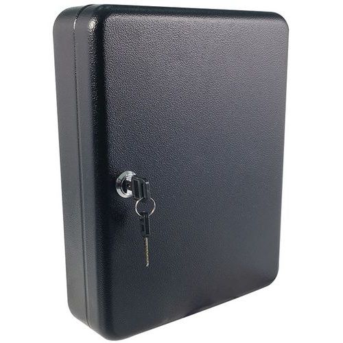 Small Lockable Key Box - 20, 50 & 70 Hooks - Wall Mountable - Manutan Expert