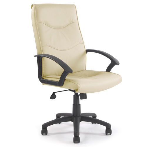 Darent Executive Leather Office Chair Darent Executive Leather Office Chair