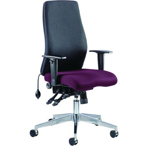 Executive Office Chair - Ergonomic High Backs - Mobile - Dynamic Onyx