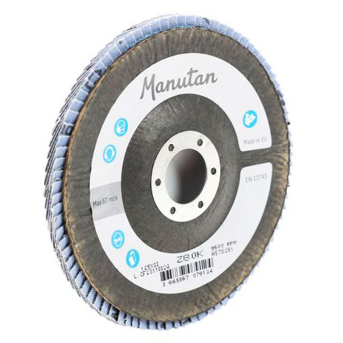 Curved flap discs Ø 125 mm - Manutan Expert