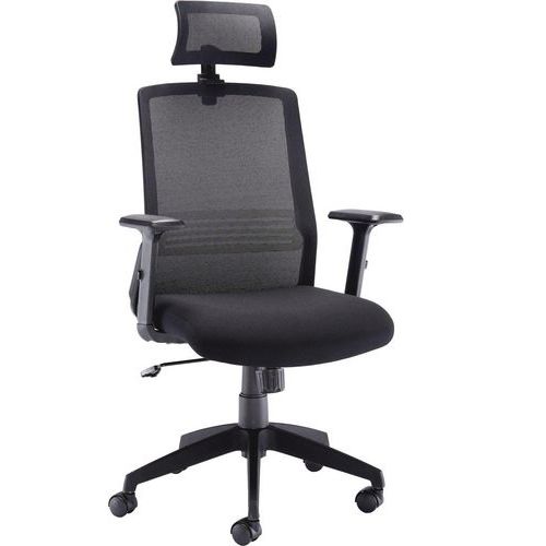Black Office/Home Executive Chair - Headrest + High Mesh Back - Denali