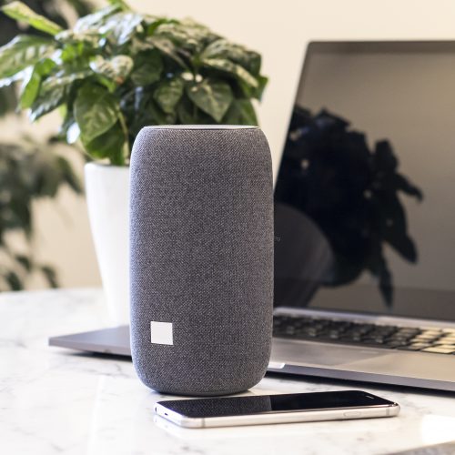 Voice assistants in companies