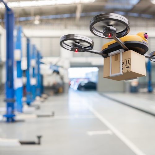 Inventory drones