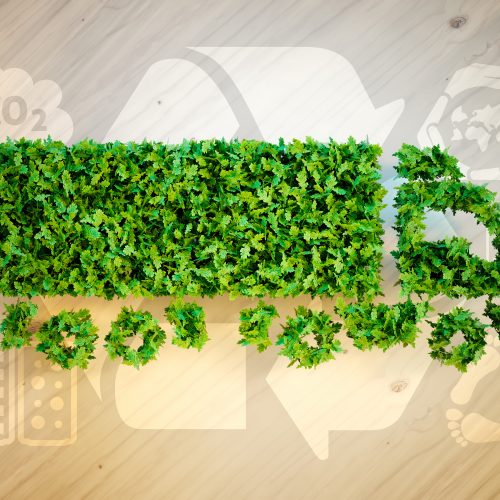Focus on Green Supply Chain