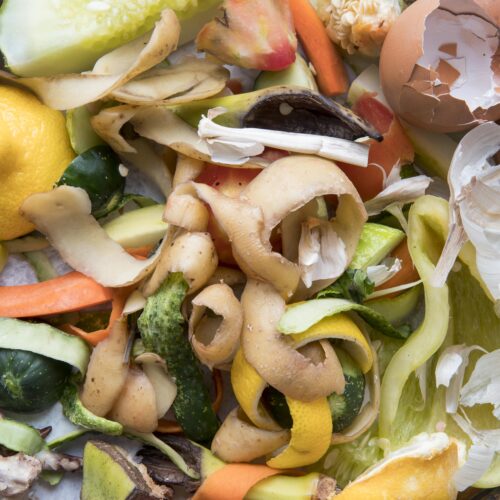 Vegetable peelings and food scraps