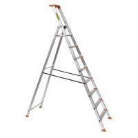 Pro54 stepladder