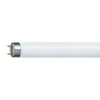 Fluorescent Tubes