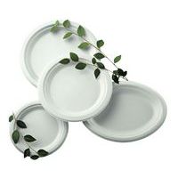 Disposable plate