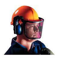 Spare mesh visor