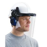 Face shield