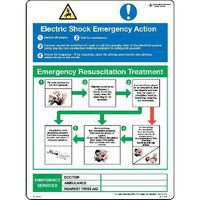 Electric Shock Emergency Action Poster