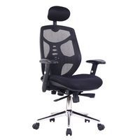 Mesh Office Chair - Ergonomic & With Headrest - Eliza Tinsley Polaris