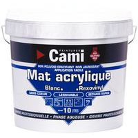 Indoor and outdoor paint