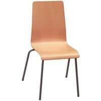 Chairs for Restauration and Meeting Rooms