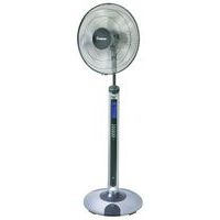 Fans