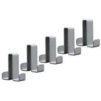 Set of Montana coat pegs