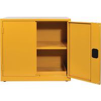 Flammable Storage Cabinet COSHH - 900x915mm - Manutan Expert - Safety