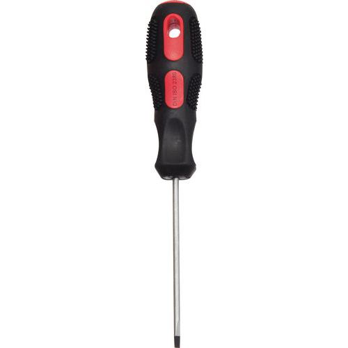 Flat-Head Screwdriver - Manutan Expert Flat-Head Screwdriver - Manutan Expert