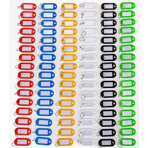 Plastic Key Fobs With Blank Labels - Assorted Colours - Manutan Expert ...