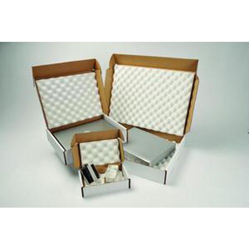 Hinged Lid Protective Pack