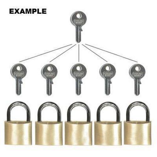 Group of Master Keyed Padlocks Pack of 12 Manutan UK