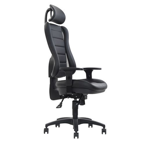 Hornbill Ergonomic Office Chair with Headrest with XXL seat