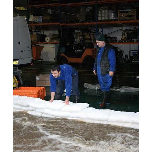 Sacks will expand by absorbing water