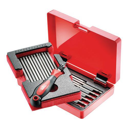 Set of 25 screwdriver blades Manutan UK