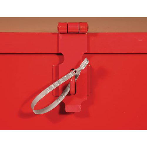 Strap seal - Manutan.co.uk
