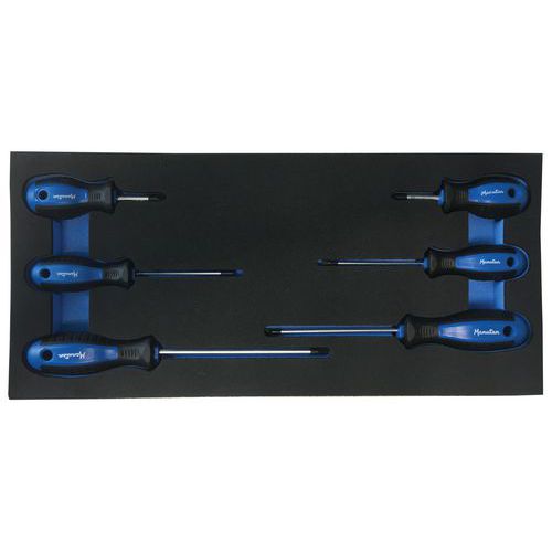 1/3 mod with 4 standard + 2 ballgrip screwdrivers Manutan Expert